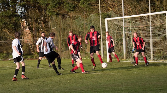 為荷蘭國家 為荷蘭國家