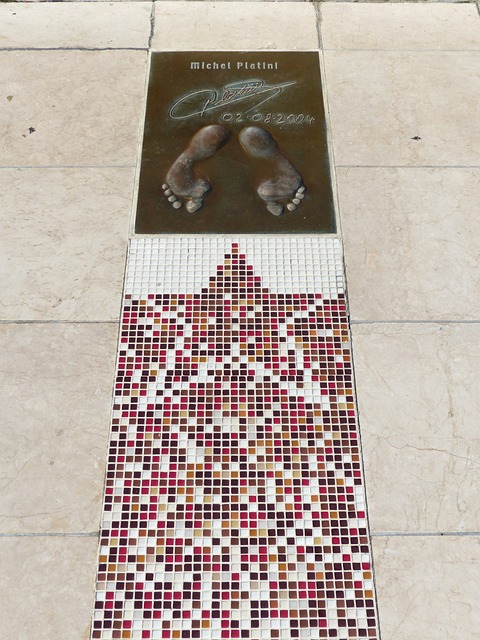 这为辽宁队 这为辽宁队