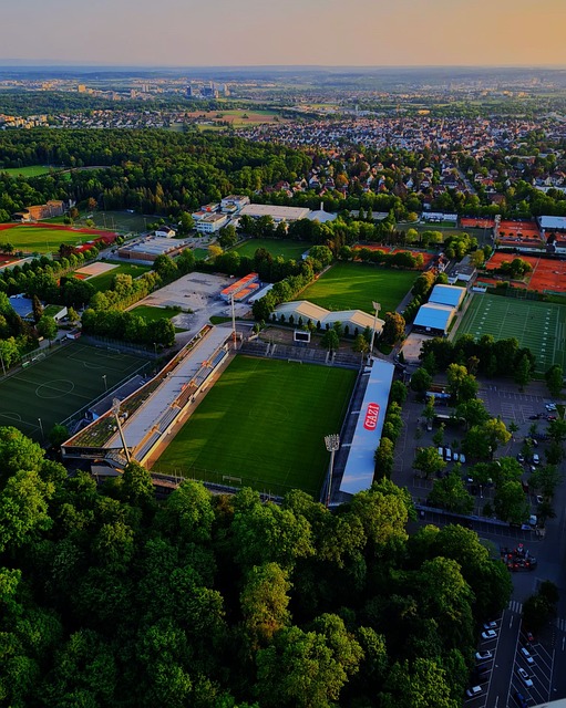 维琴察的 维琴察的