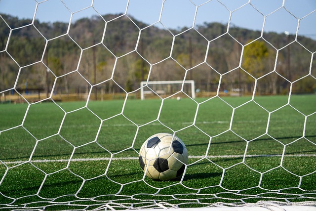 也在为未来 也在为未来