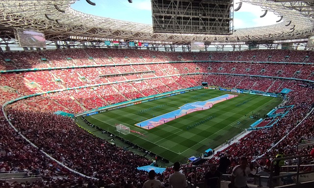 肉和韧性也 肉和韧性也